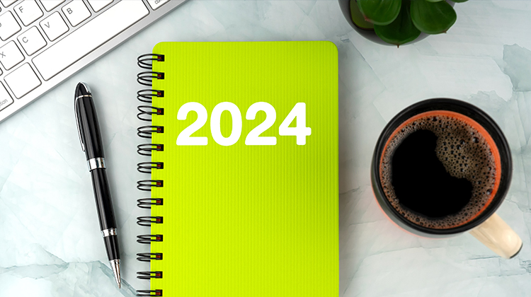 A Brief Review of Reinsurance Trends in 2024